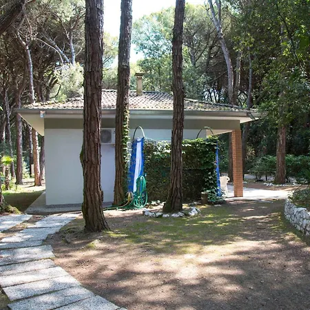 In 25653 Eraclea Mare